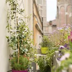 Il Balcone Dell'angiol D 'or Parma